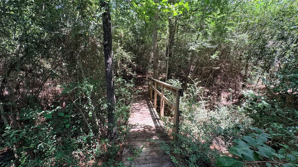 391 Deer Country Road Chester, TX 75936