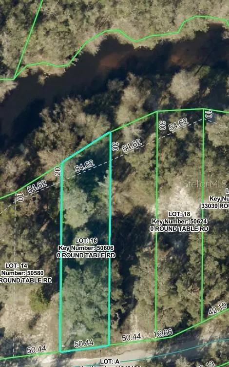 0 ROUND TABLE ROAD Ridge Manor, FL 33523