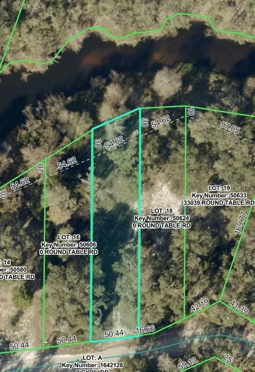 0 ROUND TABLE ROAD Ridge Manor, FL 33523