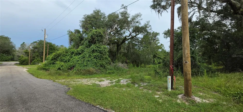 0 ROUND TABLE ROAD Ridge Manor, FL 33523