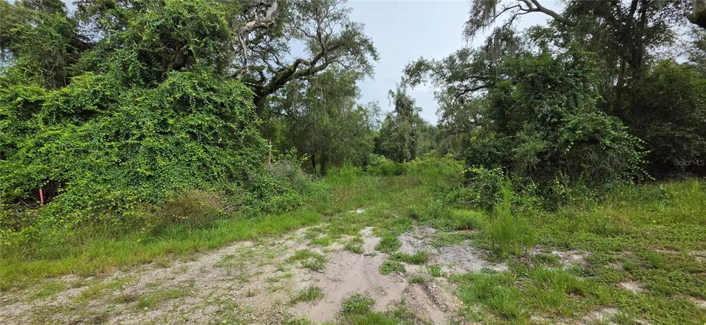 0 ROUND TABLE ROAD Ridge Manor, FL 33523