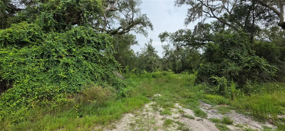 0 ROUND TABLE ROAD Ridge Manor, FL 33523