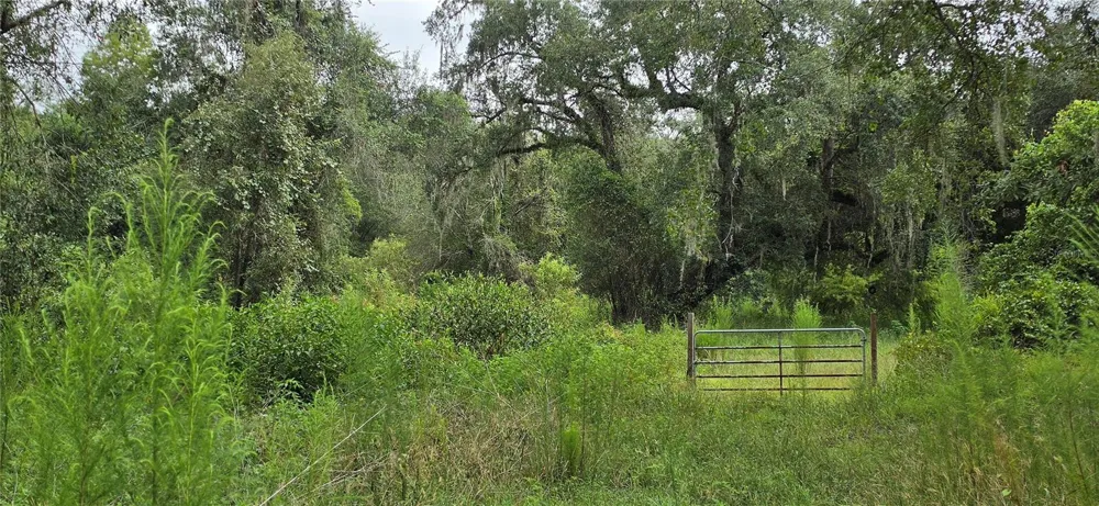 0 ROUND TABLE ROAD Ridge Manor, FL 33523
