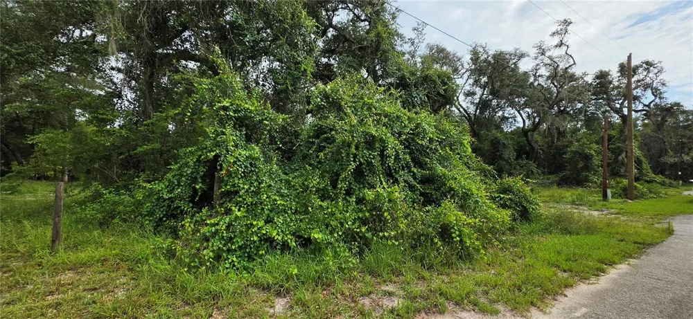 0 ROUND TABLE ROAD Ridge Manor, FL 33523