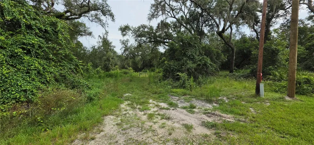 0 ROUND TABLE ROAD Ridge Manor, FL 33523