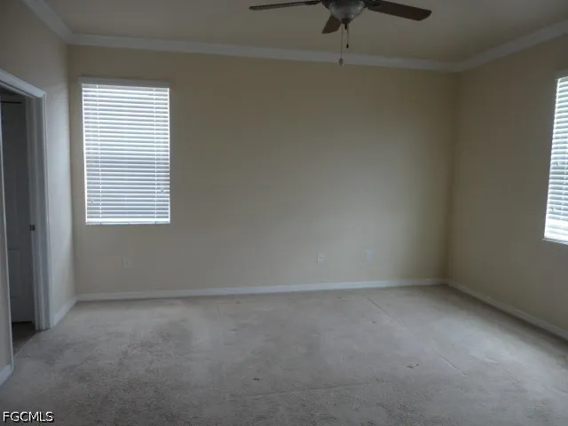 Mistflower Drive Alva, FL 33920