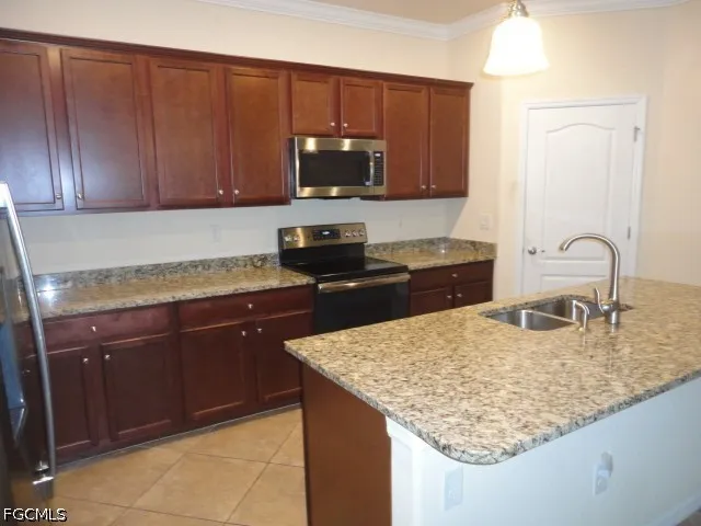 Mistflower Drive Alva, FL 33920