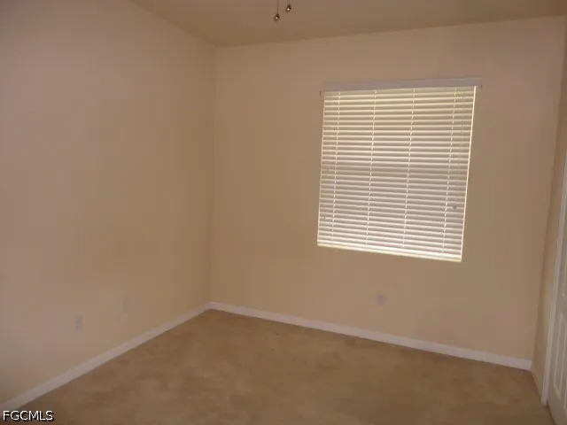Mistflower Drive Alva, FL 33920