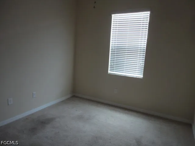 Mistflower Drive Alva, FL 33920
