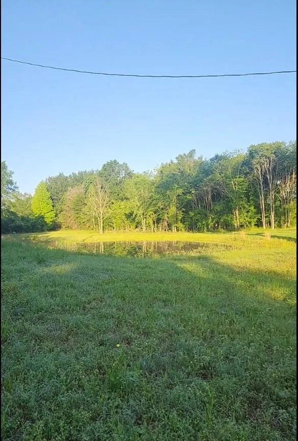 342 County Road 325 Oakwood, TX 75855