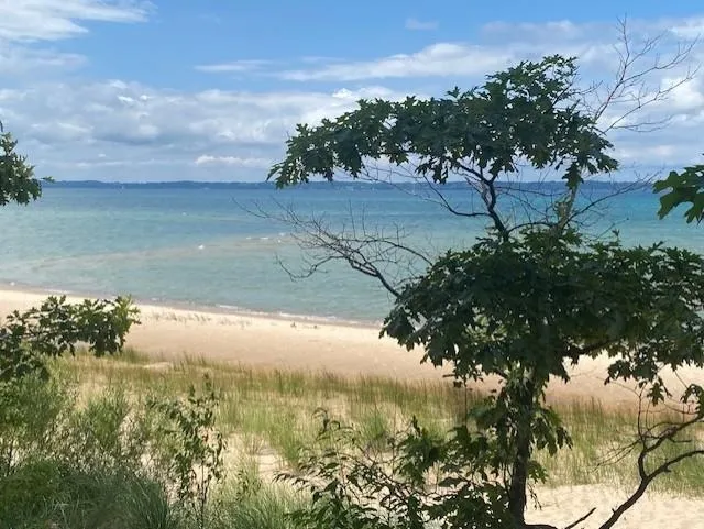 6845 W Harbor Drive Elk Rapids Township, MI 49629