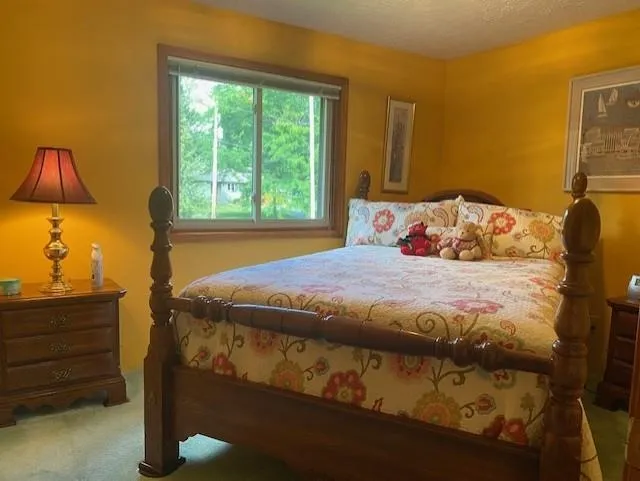 6845 W Harbor Drive Elk Rapids Township, MI 49629