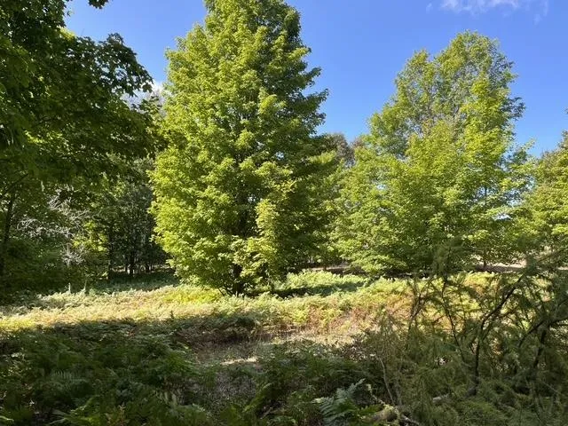 7684 Gerber Drive Leelanau Township, MI 49670