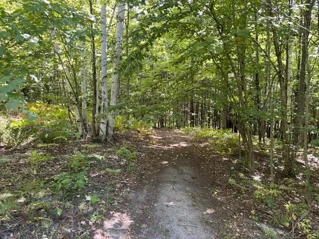 7684 Gerber Drive Leelanau Township, MI 49670
