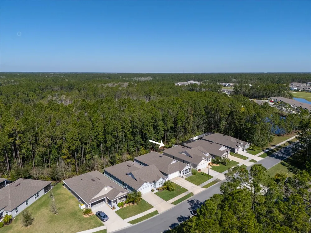 45 LOB WEDGE LANE Bunnell, FL 32110