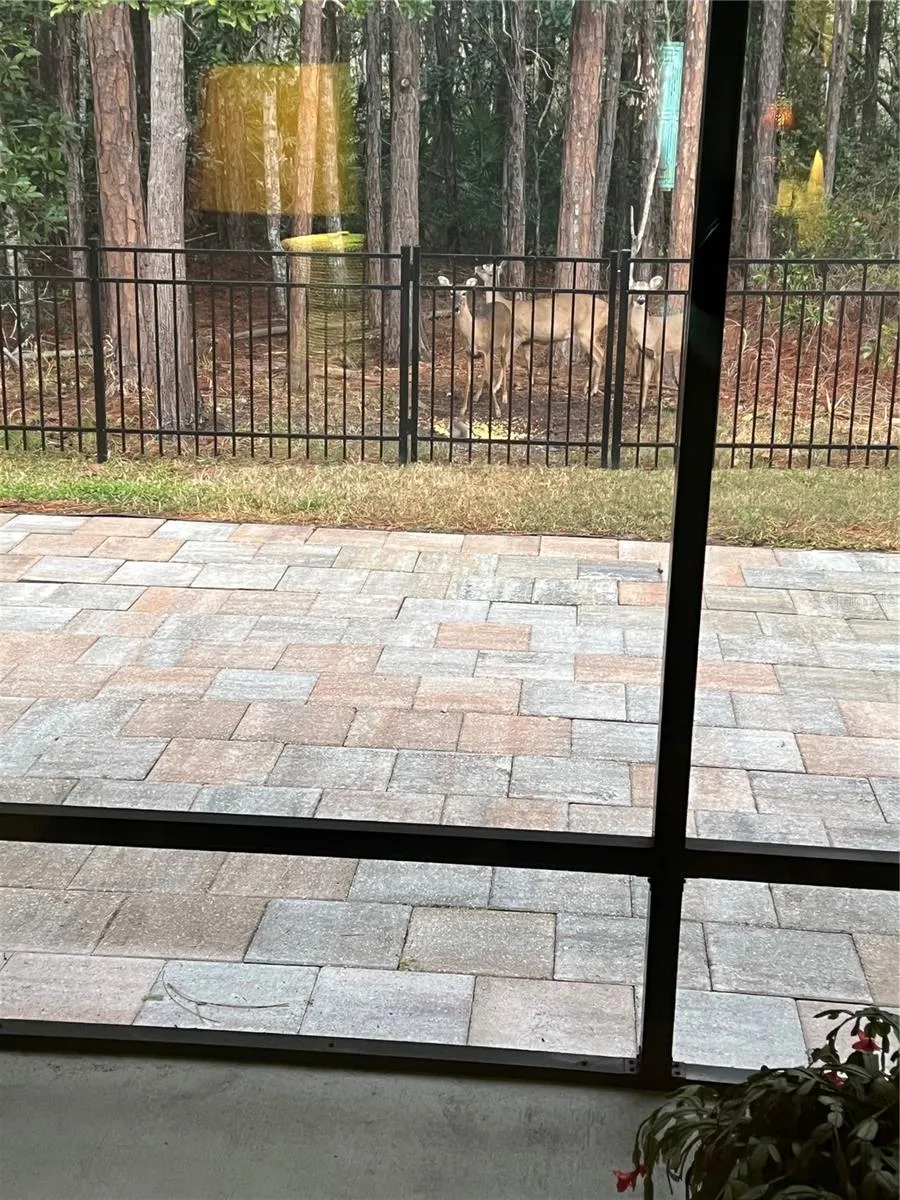 45 LOB WEDGE LANE Bunnell, FL 32110
