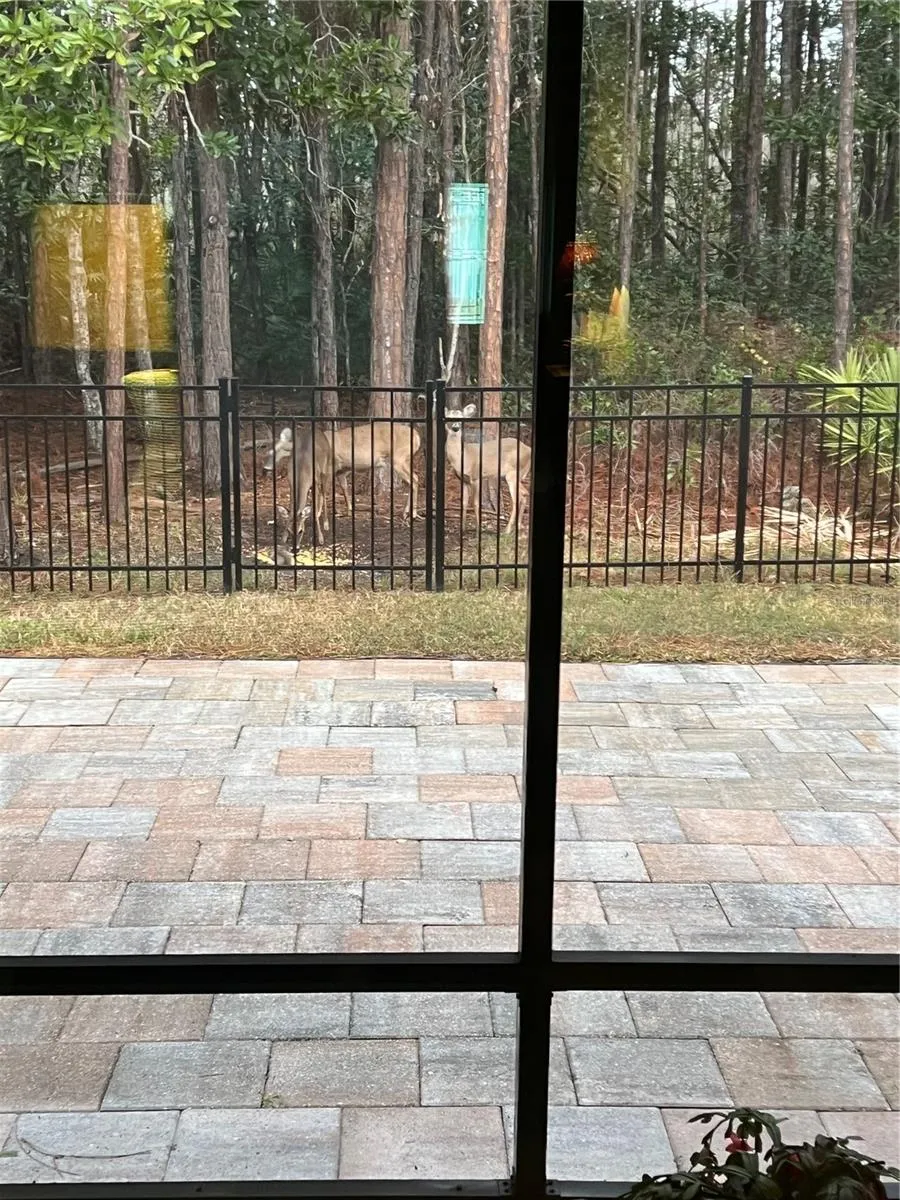 45 LOB WEDGE LANE Bunnell, FL 32110