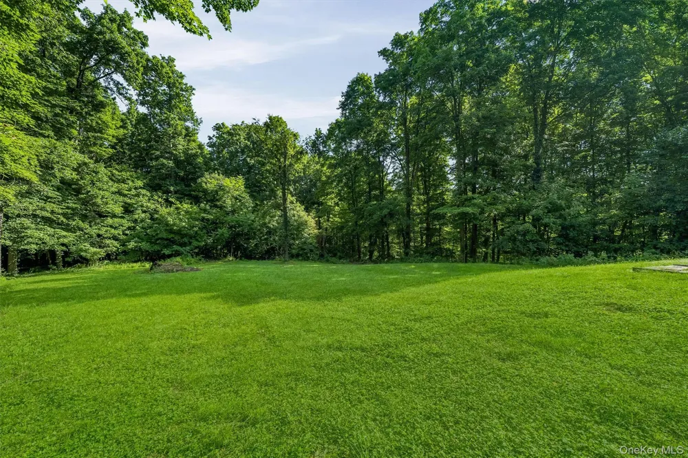 66 Whitetail Run Chester, NY 10918