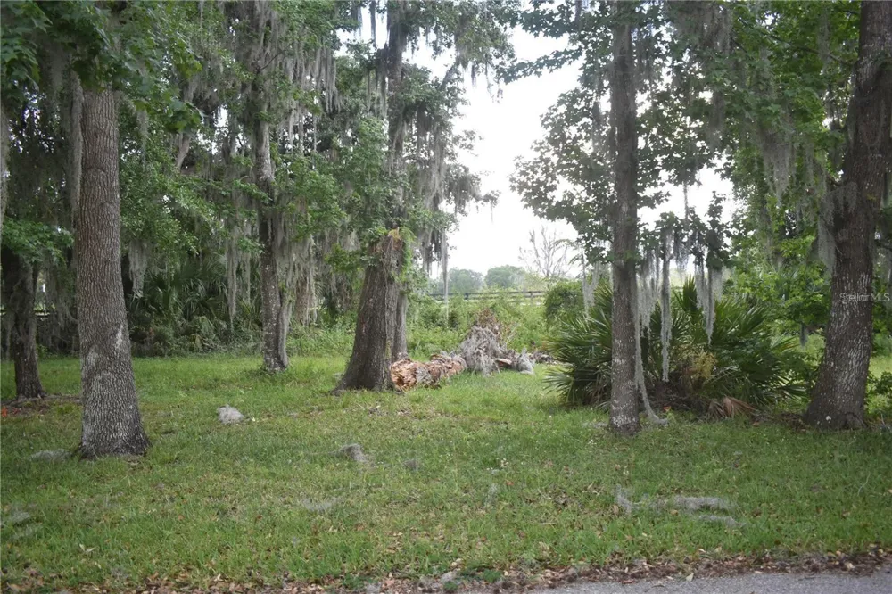LOT 52 BLK C LEXINGTON- CIRCLE Wildwood, FL 34785