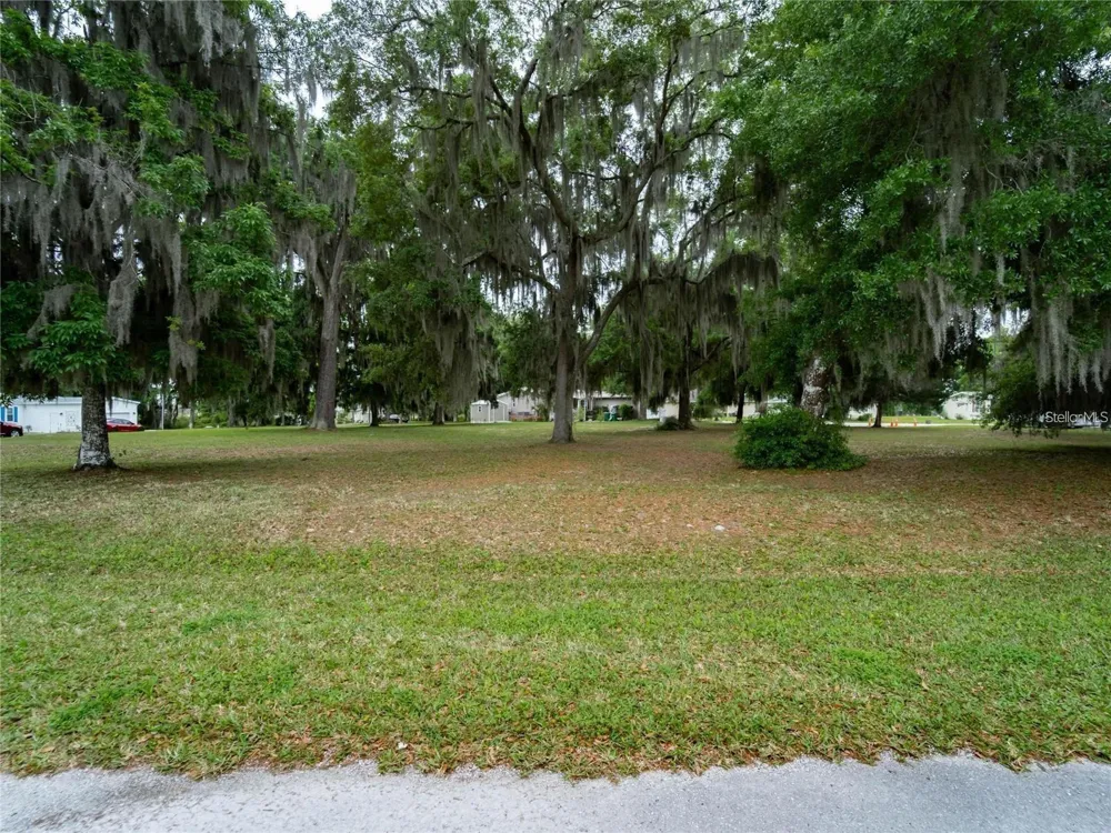 LOT 54 BLK C LEXINGTON CIRCLE Wildwood, FL 34785