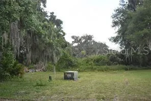 LOT 54 BLK C LEXINGTON CIRCLE Wildwood, FL 34785