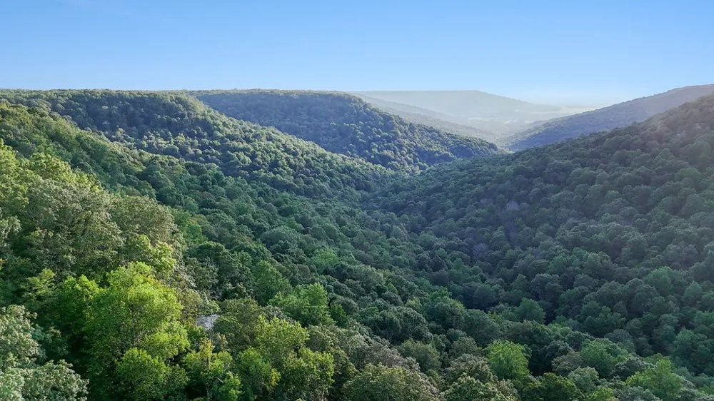 354 Little Trees Ramble Monteagle, TN 37356