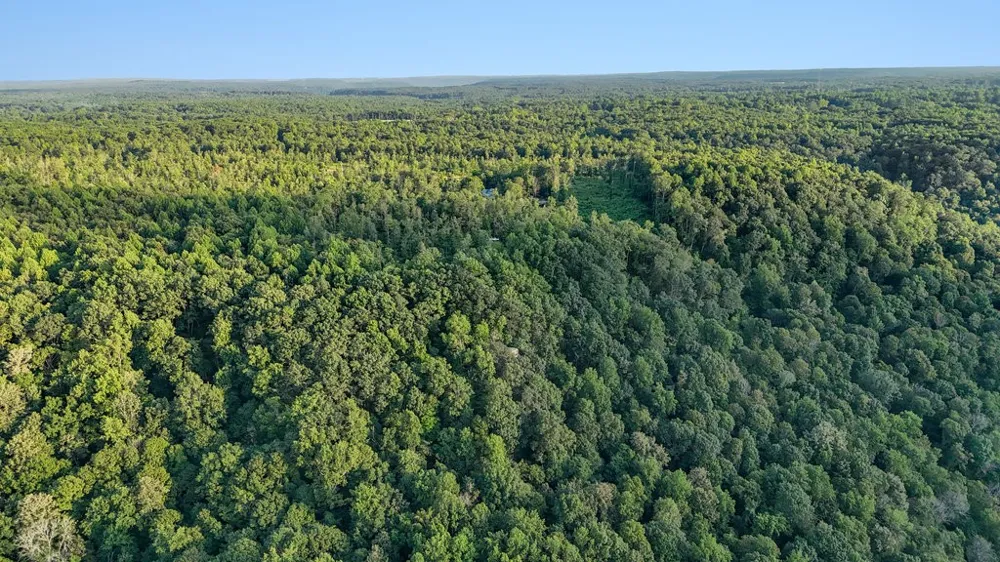 354 Little Trees Ramble Monteagle, TN 37356