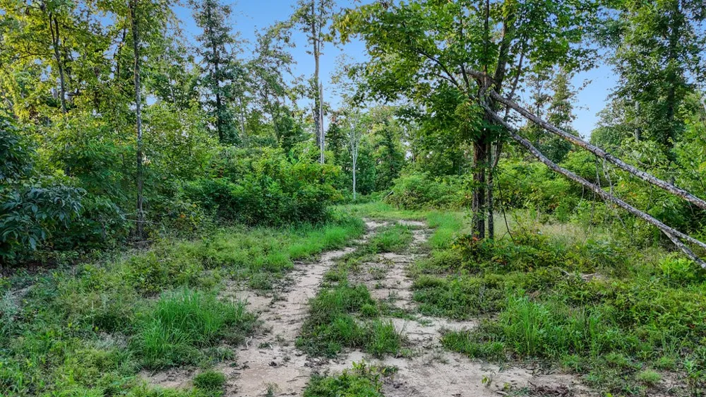 354 Little Trees Ramble Monteagle, TN 37356