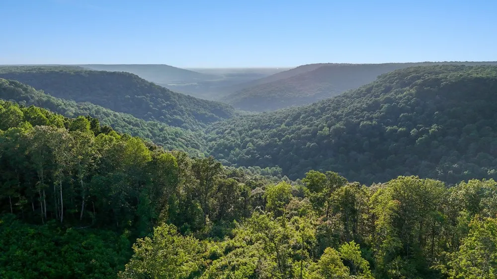 354 Little Trees Ramble Monteagle, TN 37356
