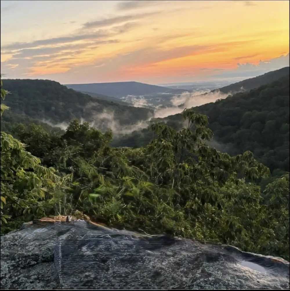354 Little Trees Ramble Monteagle, TN 37356