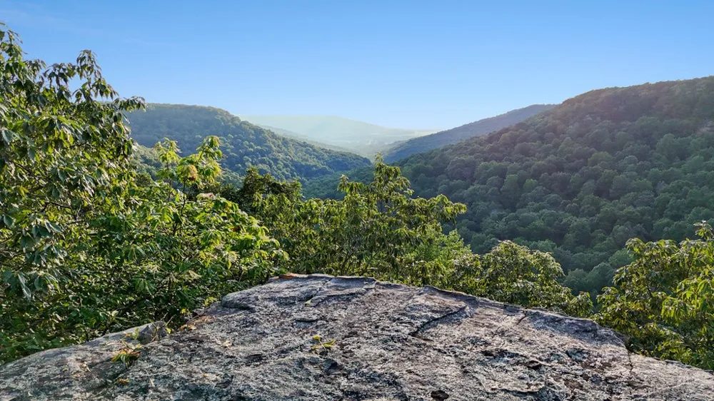354 Little Trees Ramble Monteagle, TN 37356