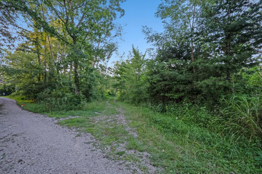 354 Little Trees Ramble Monteagle, TN 37356