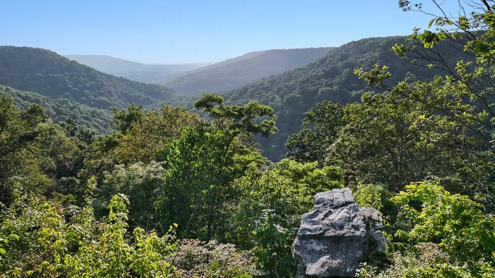 354 Little Trees Ramble Monteagle, TN 37356
