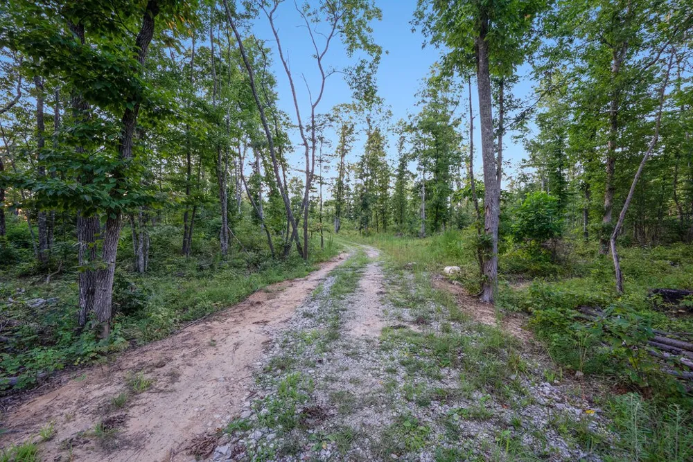 354 Little Trees Ramble Monteagle, TN 37356