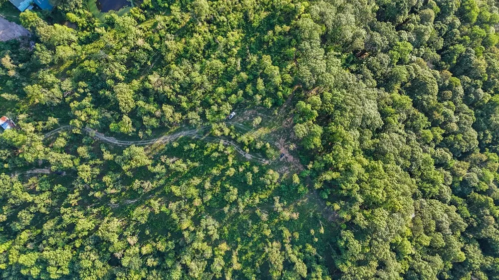 354 Little Trees Ramble Monteagle, TN 37356