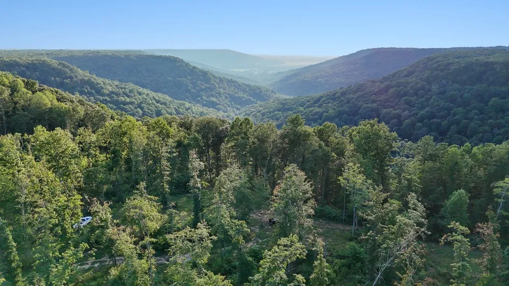 354 Little Trees Ramble Monteagle, TN 37356