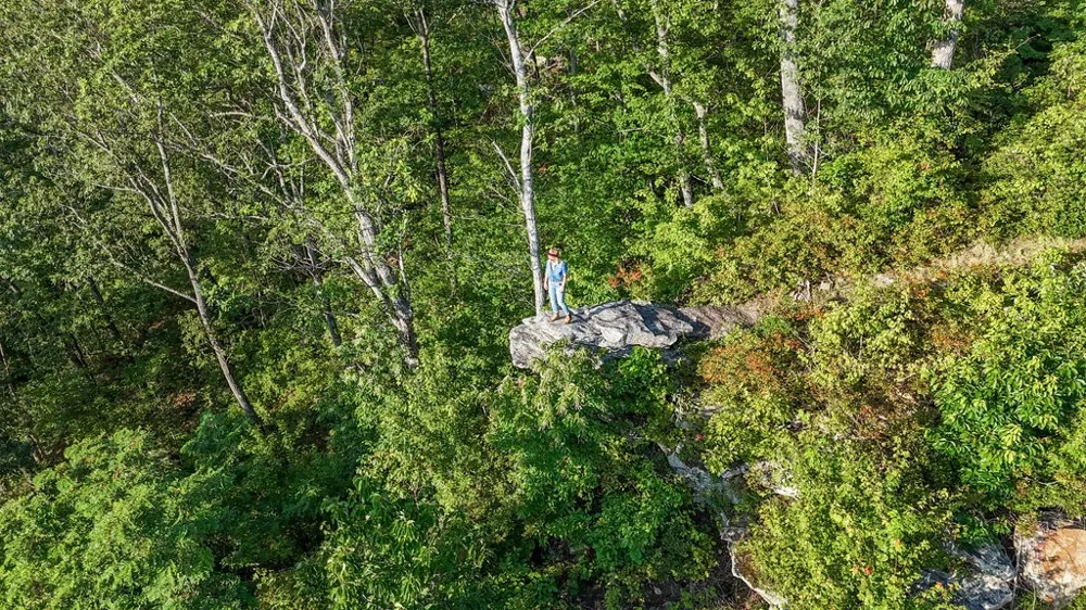 354 Little Trees Ramble Monteagle, TN 37356