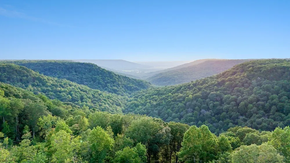 354 Little Trees Ramble Monteagle, TN 37356