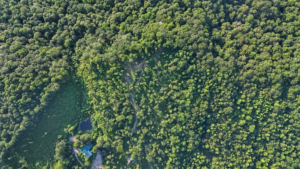 354 Little Trees Ramble Monteagle, TN 37356