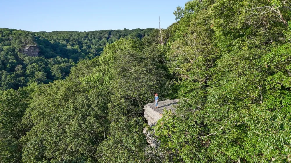 354 Little Trees Ramble Monteagle, TN 37356
