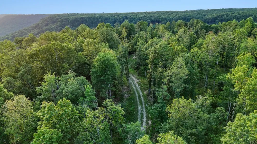 354 Little Trees Ramble Monteagle, TN 37356
