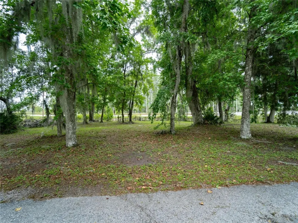 Lot 56 Blk C LEXINGTON DRIVE Wildwood, FL 34785