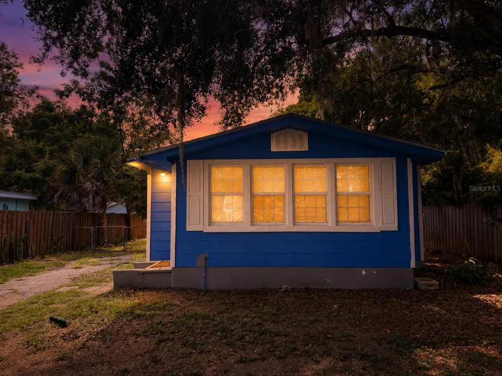 233 S RHODES STREET Mount Dora, FL 32757