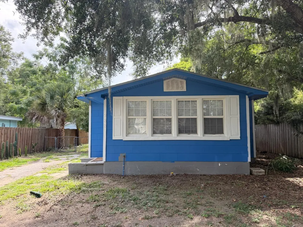 233 S RHODES STREET Mount Dora, FL 32757