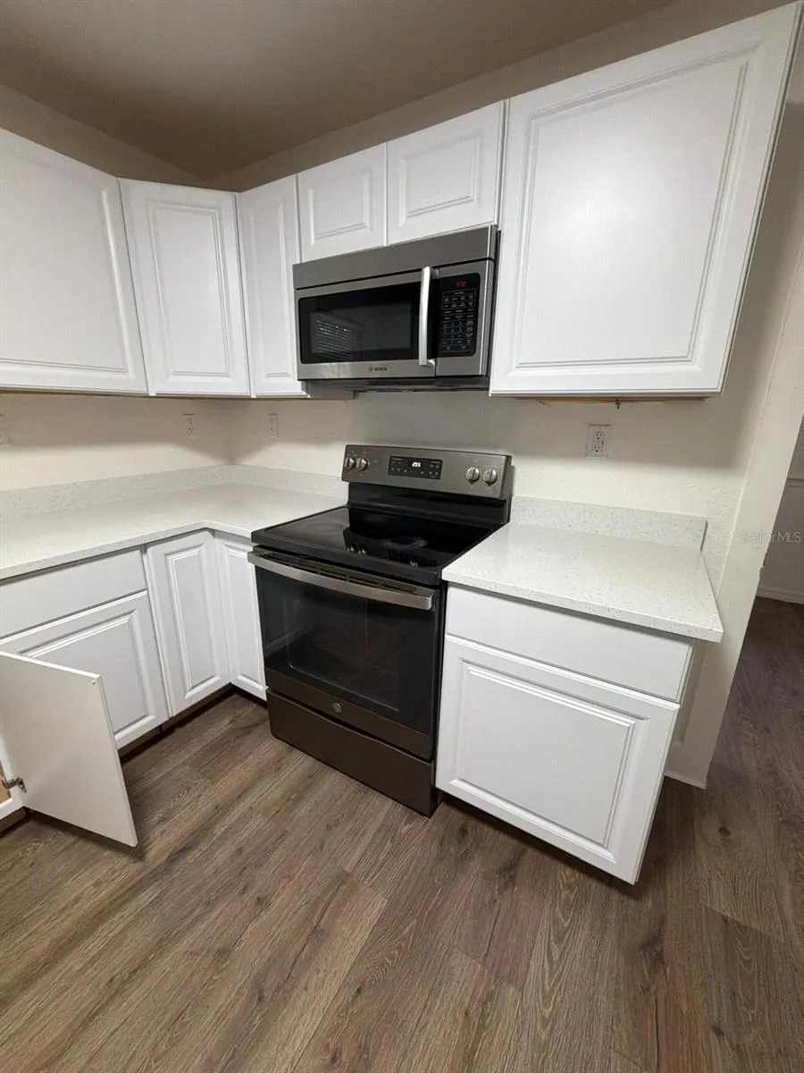 233 S RHODES STREET Mount Dora, FL 32757