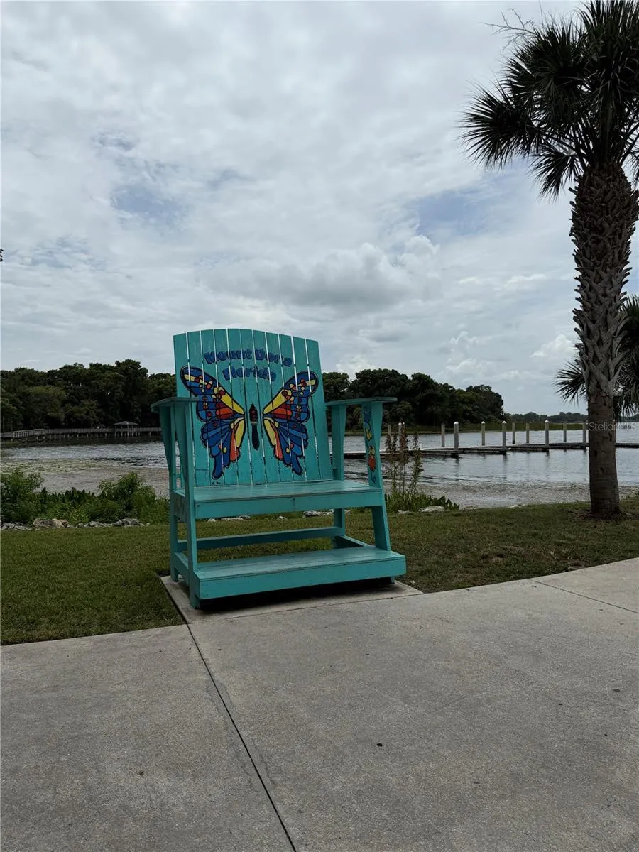 233 S RHODES STREET Mount Dora, FL 32757