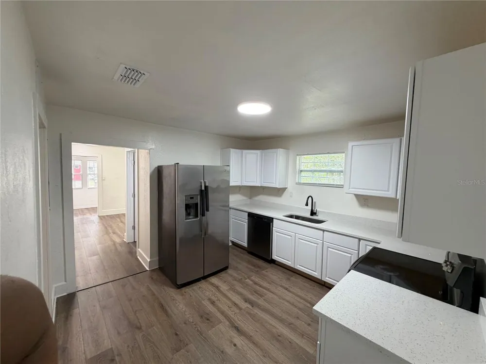 233 S RHODES STREET Mount Dora, FL 32757
