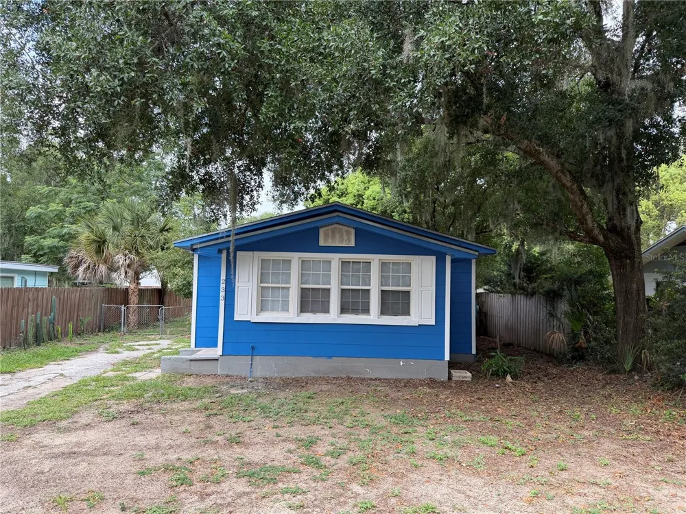 233 S RHODES STREET Mount Dora, FL 32757