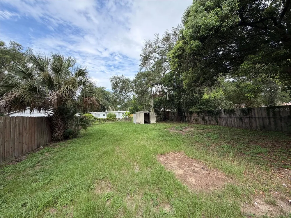 233 S RHODES STREET Mount Dora, FL 32757