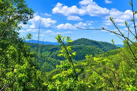 Garnet Rd